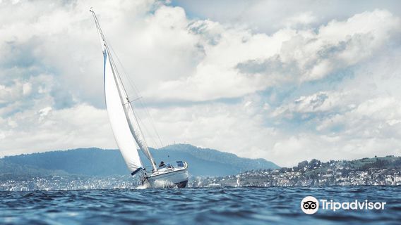 Sailing Zurich