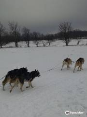 Rob Roy Farm - Snow Dogs
