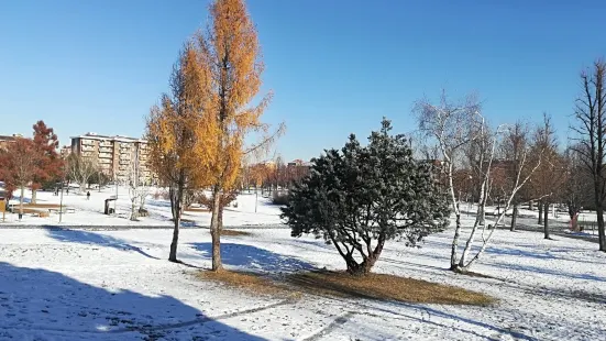 Parco Porporati