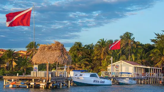 White Sands Dive Shop