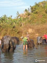 Winga Baw Elephant Camp