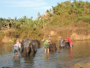 Winga Baw Elephant Camp