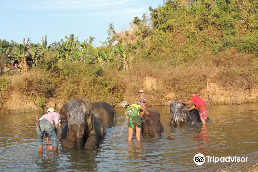 Wingabaw Elephant Camp