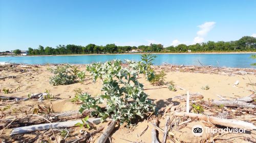 Riserva Naturale Foce Del Tagliamento