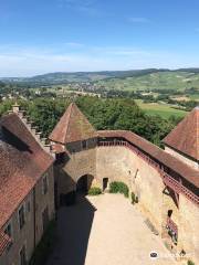 Château du Pin (Jura) Chateau du Pin (Jura)