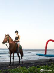 Bali Horse Riding