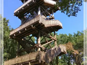 Aussichtsturm Mordkuhlenberg