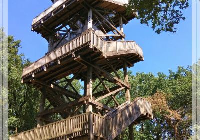 Aussichtsturm Mordkuhlenberg