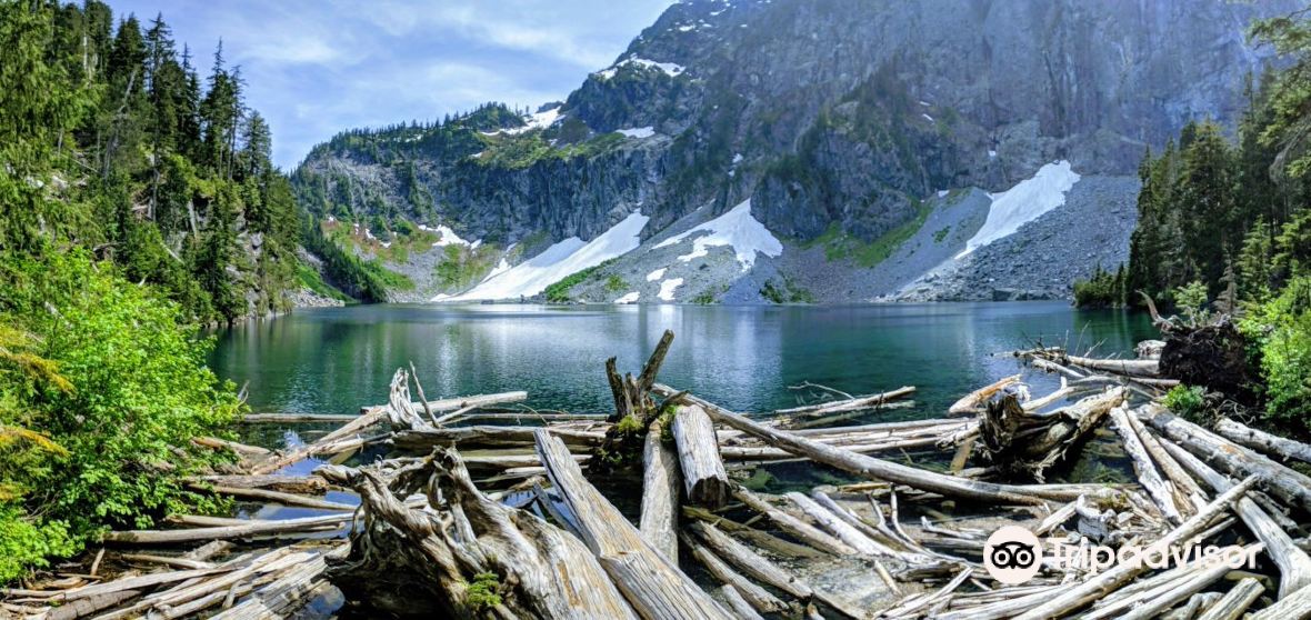 แนะนำการเดินทาง Gold Bar 2024 สิ่งที่ควรทำ, อาหารที่ควรรับประทาน