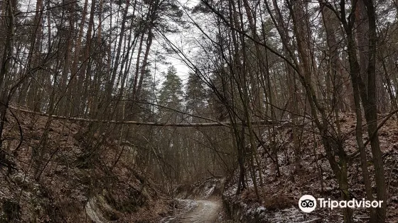 Cossack Mountain