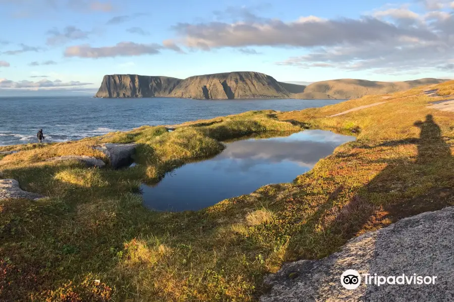 Knivskjellodden