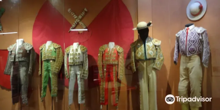 Museo de la Cultura Taurina