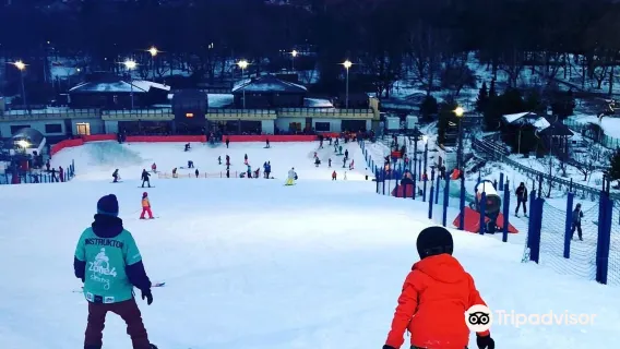 滑雪