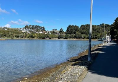 Aotea Lagoon