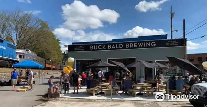 Buck Bald Brewing