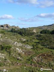 Cerro de la virgen