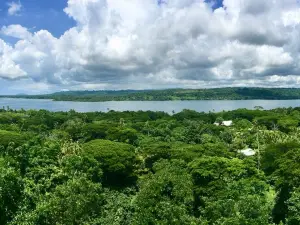 Freshwater Plantation - Aore Island