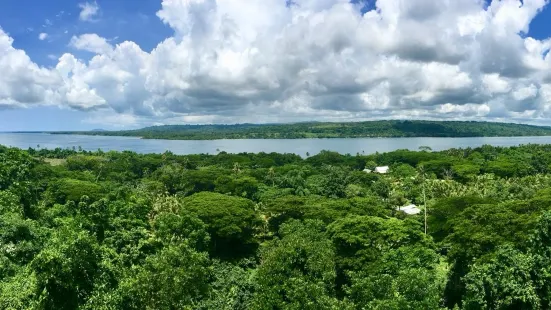 Freshwater Plantation - Aore Island