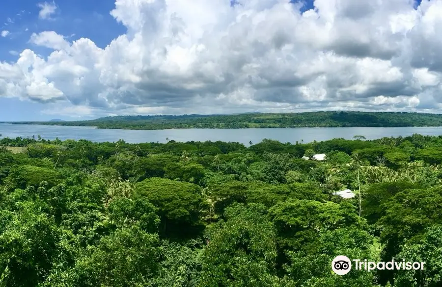 Freshwater Plantation - Aore Island