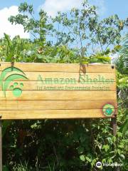 Amazon Shelter