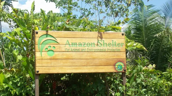 Amazon Shelter