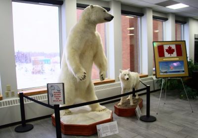 Yellowknife City Hall & Park