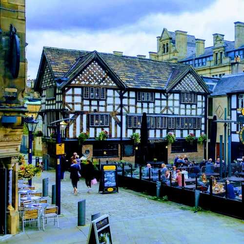 The Shambles