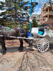 Top Hat Horse Carriage