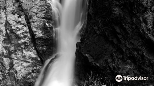 Steady Brook Falls Trail