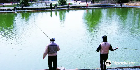 Mizunami Fishing Park