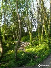 Bonchurch Landslip