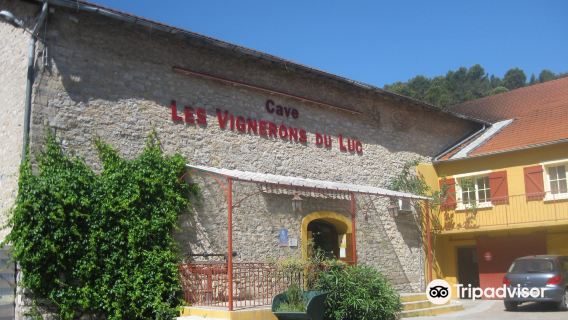 Cave Vignerons du Luc