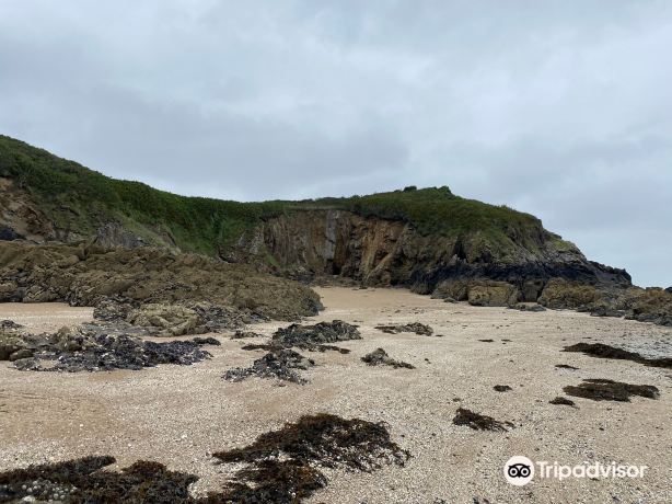 Plage de La Fosse