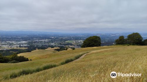 Taylor Mountain Regional Park & Open Space Preserve