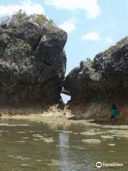 Agno Umbrella Rocks