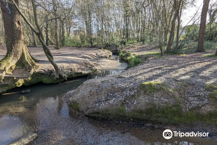 Belfairs Wood, Park & Nature Reserve