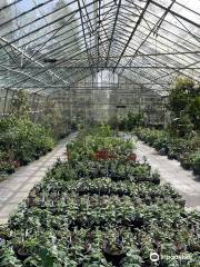 Hill House Nursery