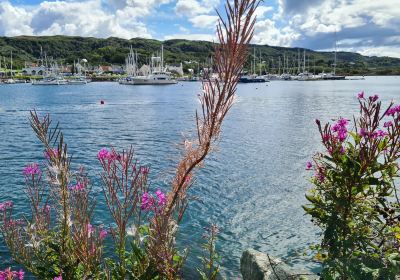 Craobh Marina