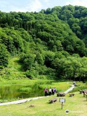 湯沢高原アルプの裏高山植物園