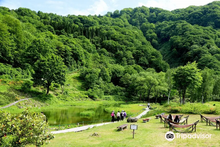 湯沢高原アルプの里高山植物園