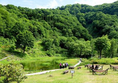 Yuzawa Highland Alpine Garden