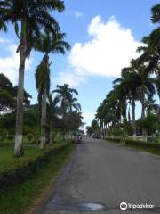 Guyana Botanical Gardens