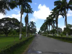 Guyana Botanical Gardens