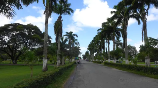 Guyana Botanical Gardens