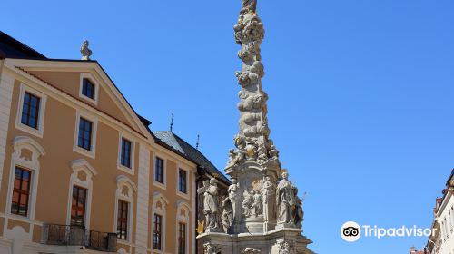 Plague column