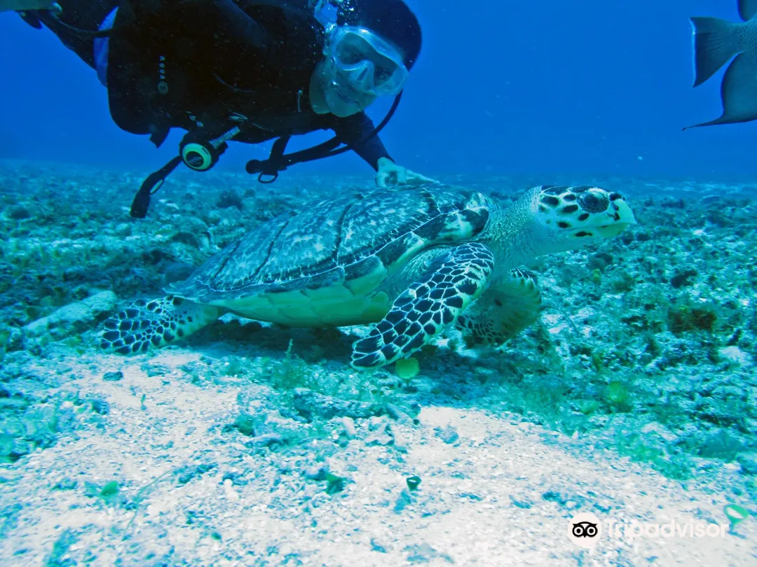 2_Cancun Scuba Center