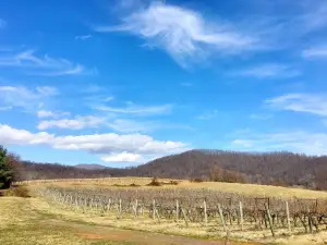 Sharp Rock Vineyards