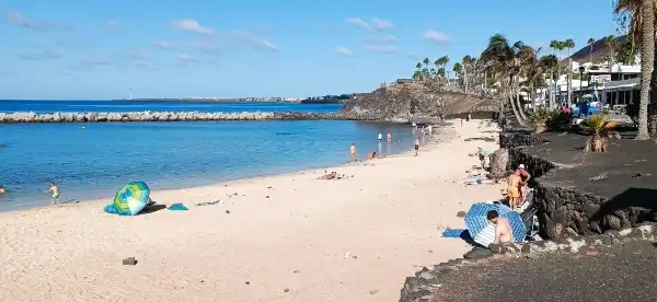 플라밍고 비치 주변 호텔