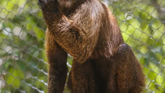 Akumal Monkey Sanctuary