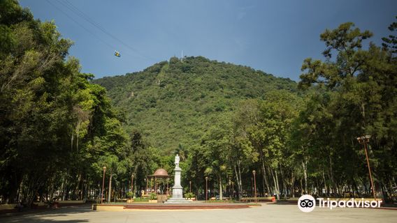 Alameda Francisco Gabilondo Soler Cri Cri